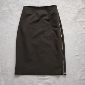Express gold tone zipper all length pencil Skirt high waist